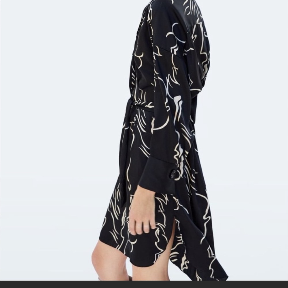 COPY - Zara dress - Picture 3 of 12